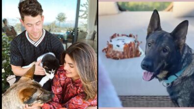 Priyanka Chopra Celebrates The Birthday Of Her Pets Dianna And Gino, Sharing A Cute Video