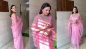 Punjabi actress Himanshi Khurana looks divine like doll in pink saree, see video 
