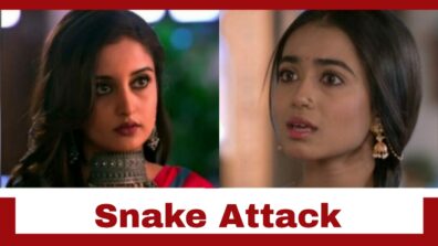 Pyar Ka Pehla Naam Radha Mohan: Damini plans a snake attack on Radha