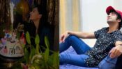Radhakrishn fame Mallika Singh makes serious confession, Sumedh Mudgalkar says, “all of us innocent folks…”