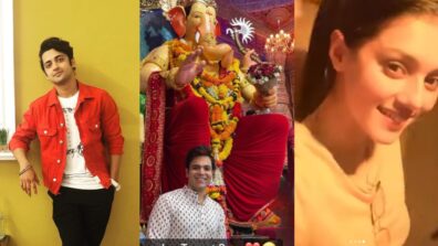 Radhakrishn fame Sumedh Mudgalkar and TMKOC actor Raj Anadkat reveal reason for happiness, Mallika Singh says, “no plans…”