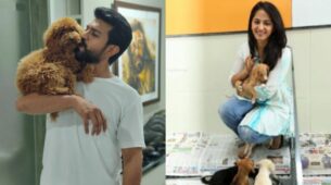 Ram Charan To Anushka Shetty: Telugu Actors Who Are Avid Dog Lovers