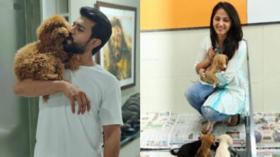 Ram Charan To Anushka Shetty: Telugu Actors Who Are Avid Dog Lovers