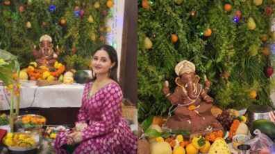 Rashami Desai Shares A Beautiful Video Giving Glimpses Of Ganesh Chaturthi 2022