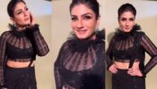 Raveena Tandon rolls back clock, looks irresistible in black slit transparent outfit with cape