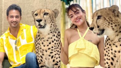 Real Khatron Ke Khiladi Couple: Bengali celebrity couple Nusrat Jahan and Yash Dasgupta set out for adventure with wild tiger, see pic