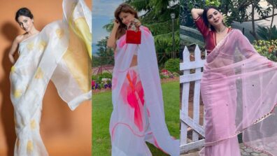 Rubina Dilaik, Hina Khan, and Shraddha Arya look breathtakingly beautiful in Organza saree