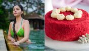 Rubina Dilaik Is A True Lover Of Red Velvet Cake