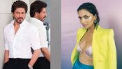 Shah Rukh Khan to Deepika Padukone: Bollywood Actors Who Succeeded Despite Having No Film Backgrounds