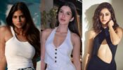 Shanaya Kapoor Posts The Hottest Photo Clicked By Suhana Khan, Ananya Panday Comments