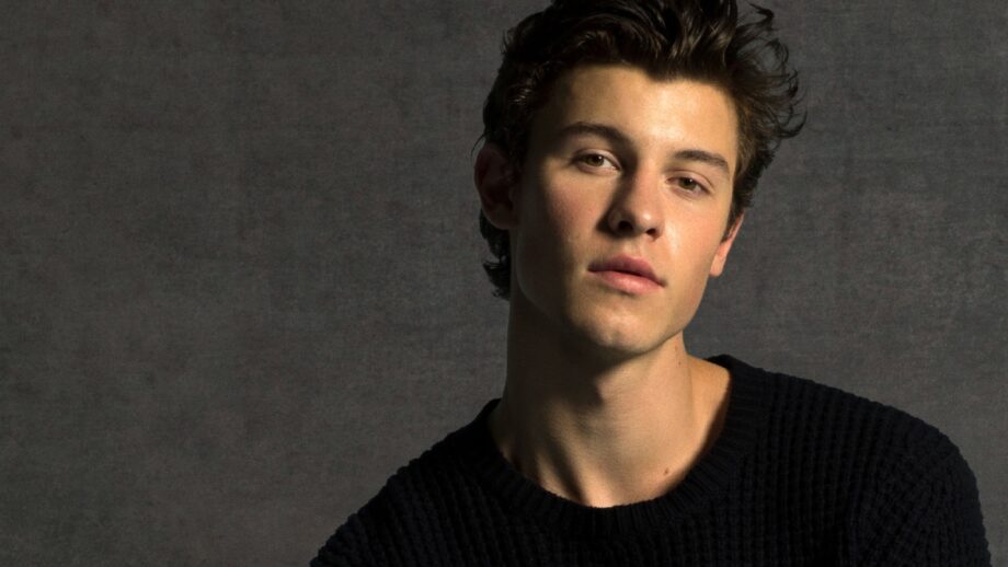 Shawn Mendes's top soothing songs lyrics to console your heart-broken soul 687991