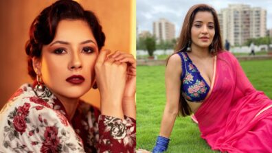 Shehnaaz Gill to Monalisa: Divas who rose to fame after Bigg Boss appearance