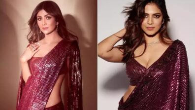 Shilpa Shetty Or Malavika Mohanan: Which Diva Rocked The Wine-Hued Sequin Saree Incredibly?