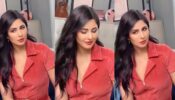 “Something Special Coming Soon” Katrina Kaif Shares A Cute Video On Instagram