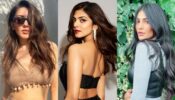 South Actress Special Update: What’s cooking in personal lives of Hansika Motwani, Shruti Haasan and Malavika Mohanan?