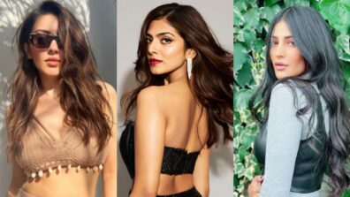 South Actress Special Update: What’s cooking in personal lives of Hansika Motwani, Shruti Haasan and Malavika Mohanan?