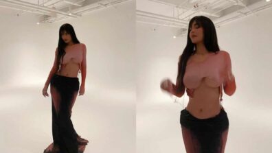 The Gorgeous Kylie Jenner Flashes Some Skin In A Tiny Crop-top, See Pics