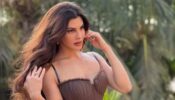 The Net Closes In On Jacqueline Fernandez