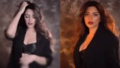 Uff Haye Garmi: Shama Sikander flaunts sensuous body in black bralette on Liger song, fans sweat seeing curvaceous midriff