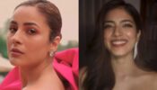 Uff Haye Garmi: Shehnaaz Gill and Malavika Mohanan are making us drool over their beauty, we can’t keep calm