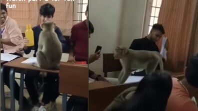 Viral video: Monkey breaking into a class full of students is a cute and hilarious clip to surface this morning