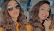 Watch: Jasmin Bhasin loses cool due to Mumbai traffic, BF Aly Goni likes it