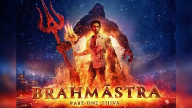 Who Will Star In The Sequel To  Brahmastra?
