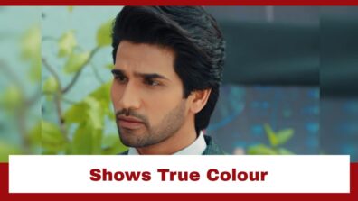 Yeh Hai Chahatein: Armaan shows his true colour