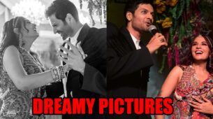 Ali Fazal shares dreamy photos with wife Richa Chadha from reception, writes, ‘we feel eternally blessed’