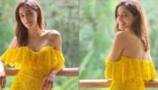 Ananya Pandey exudes mesmerising beauty in her ruffle dress collection