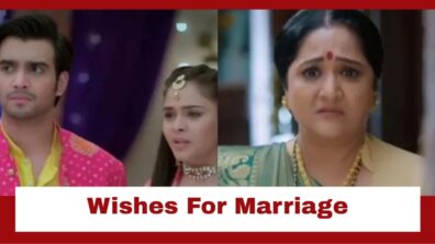 Anupamaa: Baa wishes for Adhik-Pakhi’s wedding