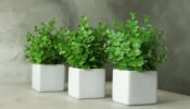 Artificial Green Plants Make Your Home Look Lavish And Fresh