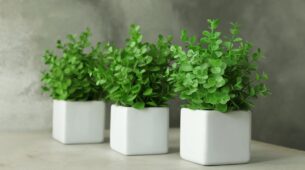 Artificial Green Plants Make Your Home Look Lavish And Fresh