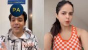 TMKOC diva Palak Sindhwani looks irresistible in gorgeous transformation video with killer smile, Raj Anadkat shows ‘heart’