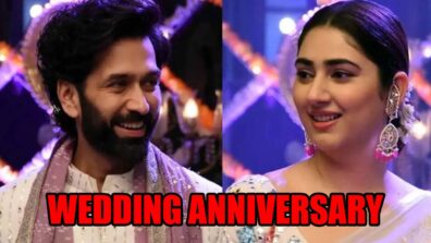 Bade Achhe Lagte Hain 2: Ram and Priya celebrate their wedding anniversary