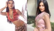 Avneet Kaur In Desi Saree Or Jannat Zubair In Organza Saree: Who Is Soaring Hotness In Floral Saree?