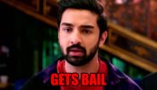 Bhagya Lakshmi: Rishi gets released on bail
