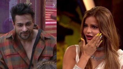 Bigg Boss 16 13 October Written Updates Ep 13: Shalin And Archana Wins Task
