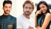 Bigg Boss 16 19 October 2022 Written Updates Ep19: Gautam Vig And Shalin Bhanot Fight Over Sumbul Touqueer