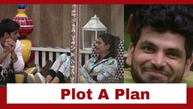 Bigg Boss 16: Ankit Gupta and Priyanka Choudhary plan against Shiv Thakare