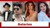Bigg Boss 16 Contestants And Their Salaries; Check Here