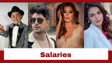 Bigg Boss 16 Contestants And Their Salaries; Check Here