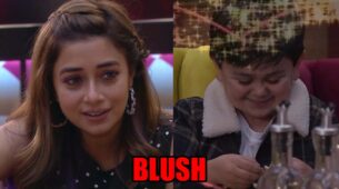Bigg Boss 16: Tina Datta makes Abdu Rozik blush