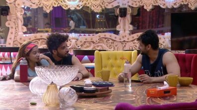 Bigg Boss 16: Will Shalin’s love confession for Tina change his equation with her?