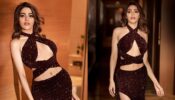 Bigg Boss Babe On Fire: Nikki Tamboli takes over internet by storm in purple glittery deep-neck slit outfit, pics go viral