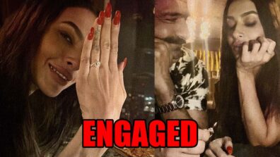 Bigg Boss couple Eijaz Khan and Pavitra Punia get engaged, share proposal photos