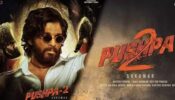 Breaking News: Pushpa 2 To Have A Bollywood A-Lister