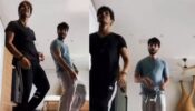 Brother Duo Shahid Kapoor And Ishaan Khatter Groove Together, Give Sibling Goals