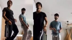 Brother Duo Shahid Kapoor And Ishaan Khatter Groove Together, Give Sibling Goals
