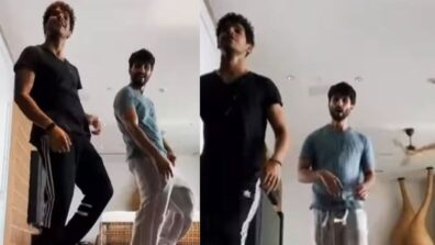 Brother Duo Shahid Kapoor And Ishaan Khatter Groove Together, Give Sibling Goals